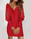 V-Neck Mini Dress; Loose Lace Long Sleeve