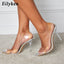 Transparent Stilettos Heels; Point Toe; Silver Shoes