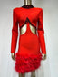 Long Sleeve Beaded Feather; Mini Bandage Dress